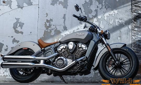 indianscout1.jpg