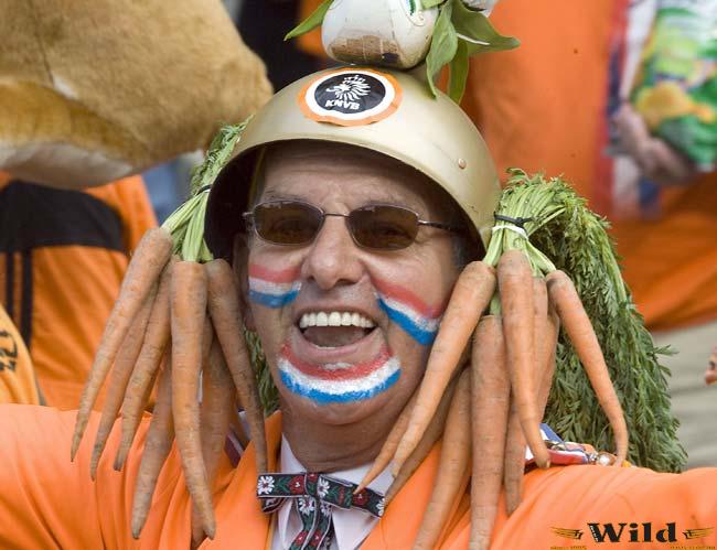 carrothead_650x499.jpg