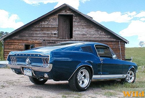 fastback ´67