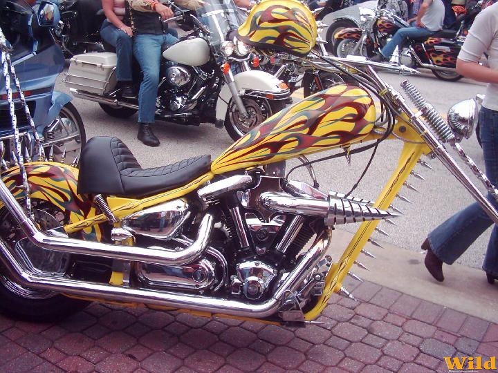 2008 Daytona biketoberfest