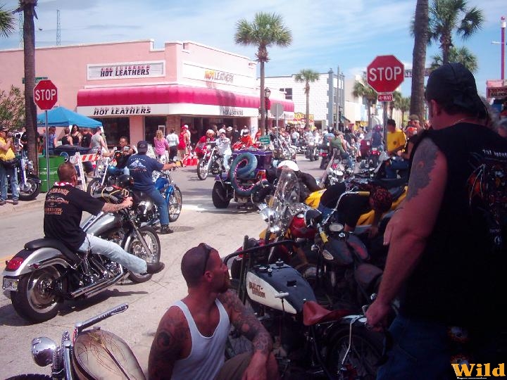 2008 Daytona Biketoberfest