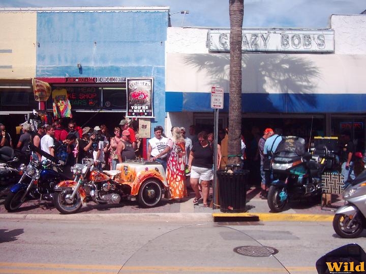 2008 Daytona Biketoberfest