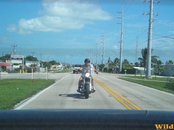 Key West HD Fat boy