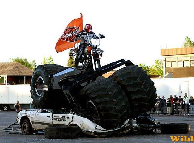 Bigfoot-Bike