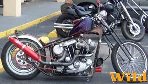 Ironhead