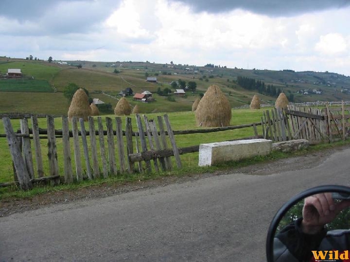 Erdélyben 2005