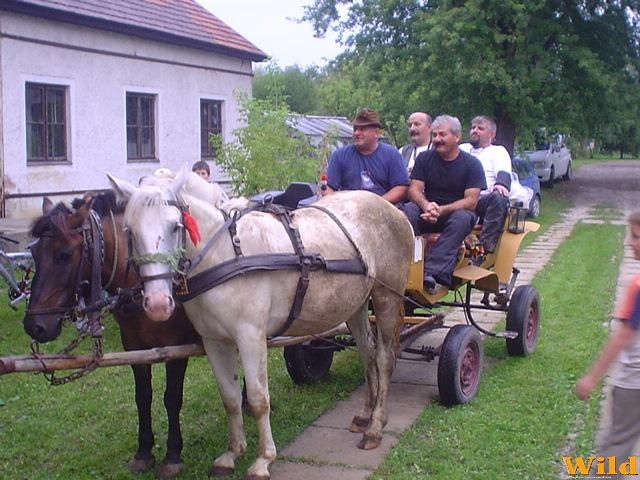 A baloldali még mindíg szaros!