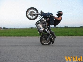 Harley wheelie