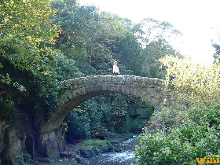 jesmond park,Newcastle.