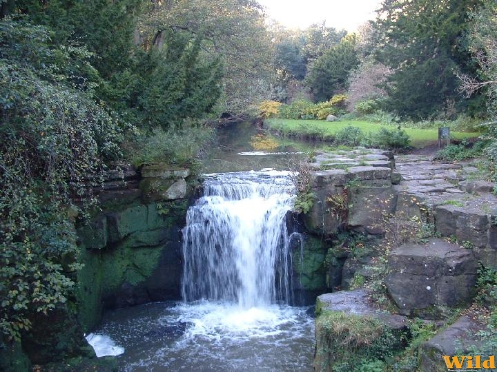 jesmond park-Newcastle