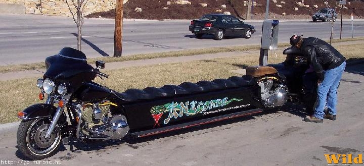 Anaconda Bike