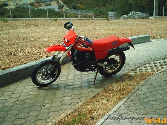 1981,DR 500