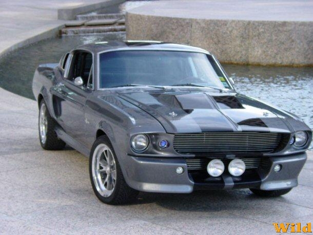 Shelby gt500 Elenore