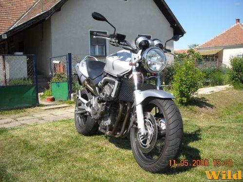 Honda CB600F Hornet
Sinkó,Vipers Szombathely