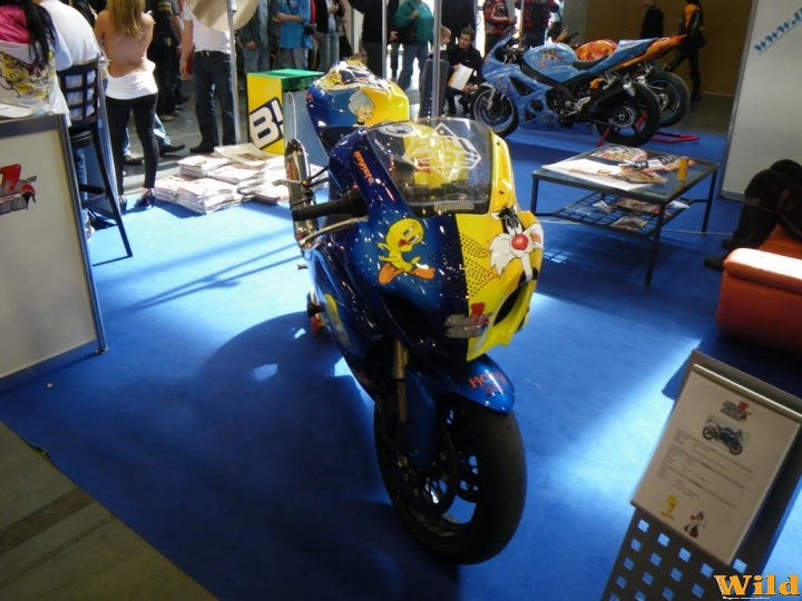 Motor Show 2010