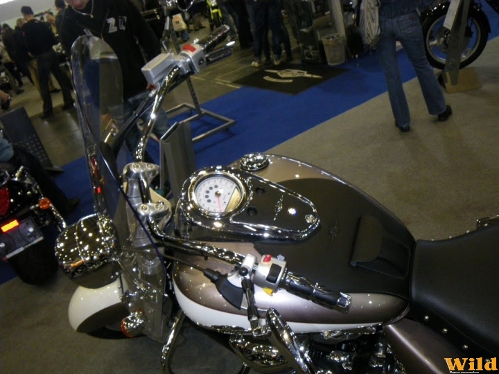 Motor Show 2010