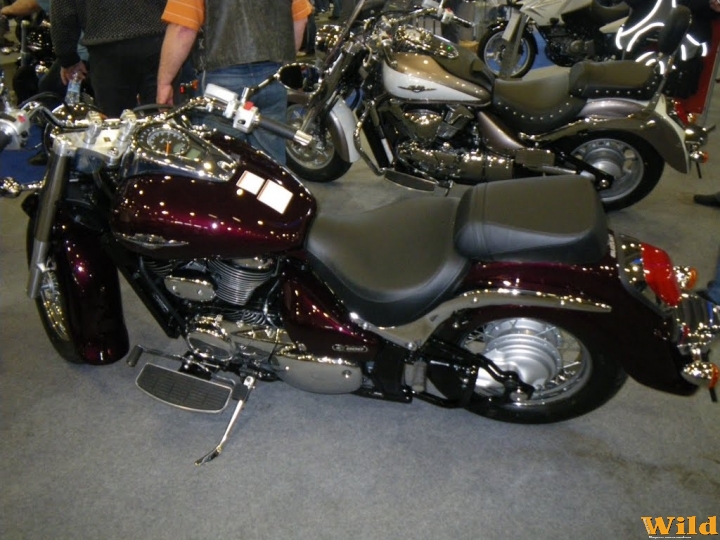 Motor Show 2010