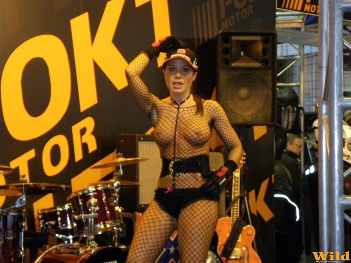 Motor Show 2010