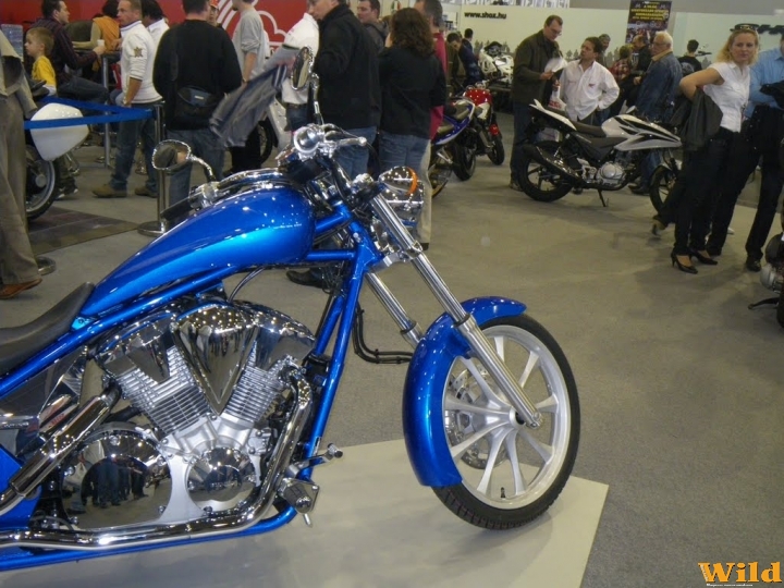 Motor Show 2010