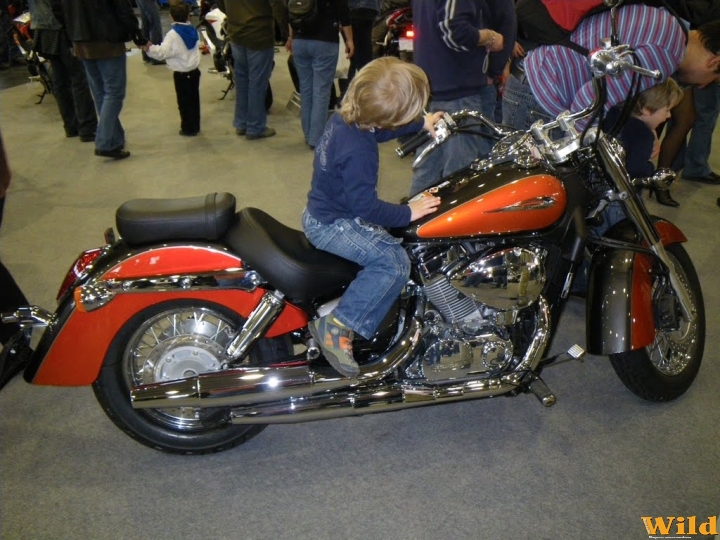 Motor Show 2010