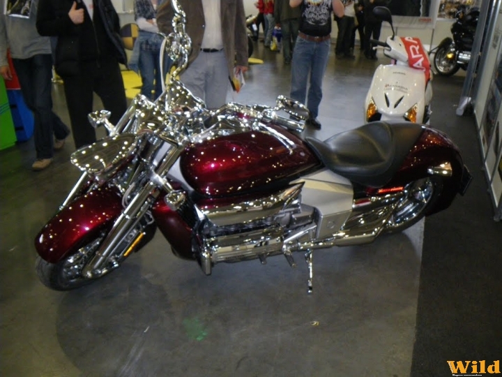 Motor Show 2010