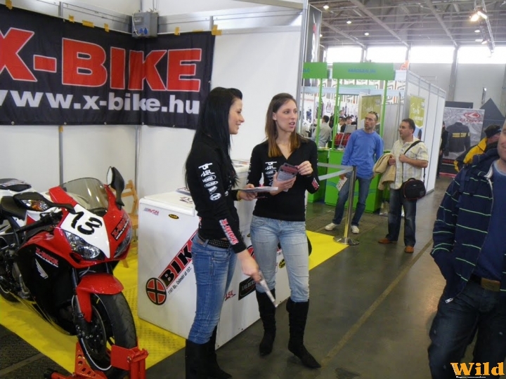 Motor Show 2010