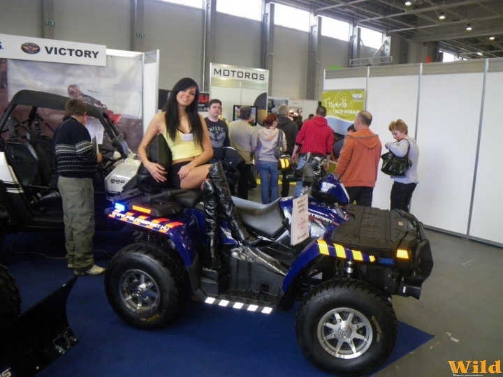 Motor Show 2010