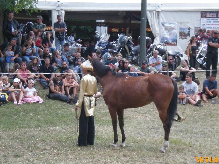 Hagyományőrzés