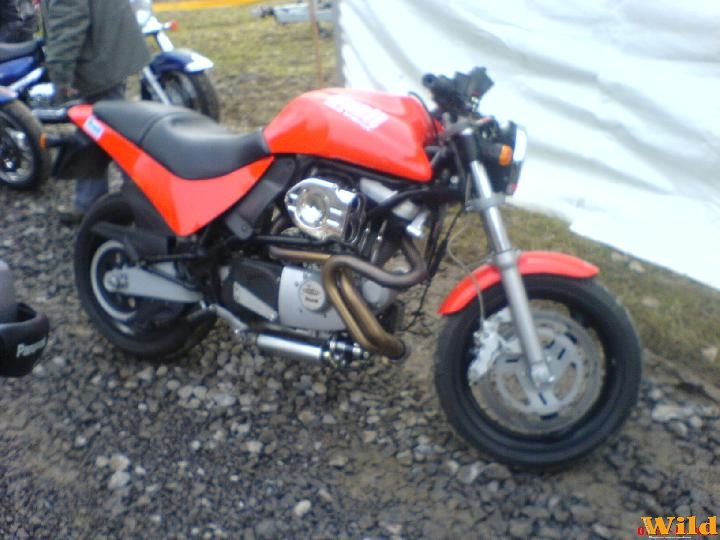 Buell