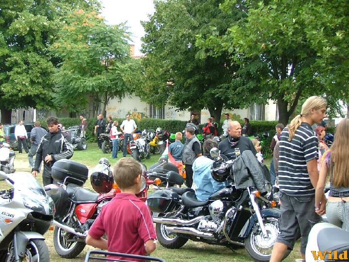 Hajdúsámson 2008