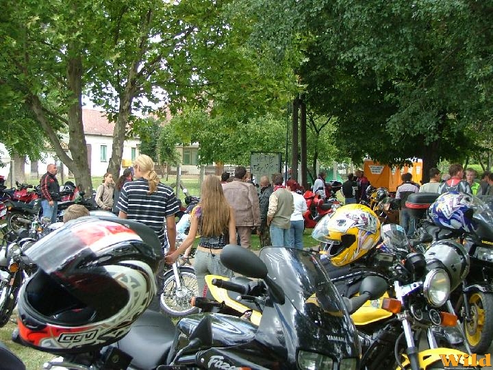 Hajdúsámson 2008