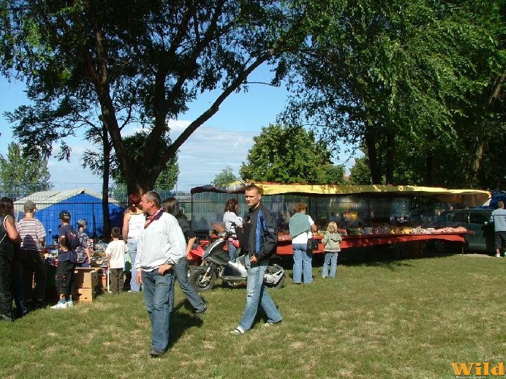 Hajdúsámson 2008