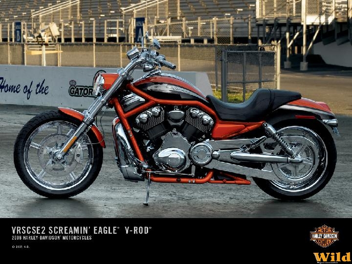 V-Rod screamin eagle