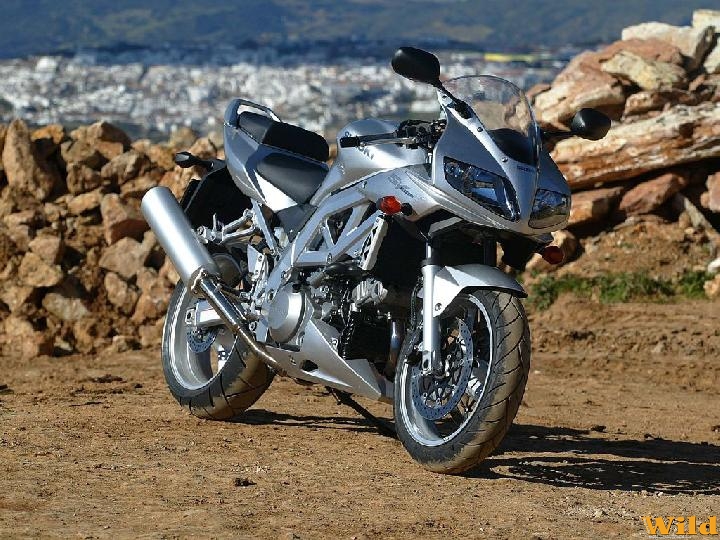 Suzuki SV 1000