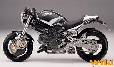 Ducati monster