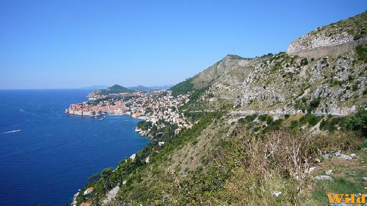 Dubrovnikban...